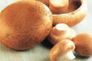 Brown mushrooms