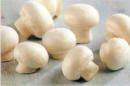 Button mushroom