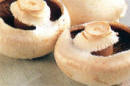 Open cup mushrooms