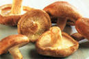 Shiitake mushrooms